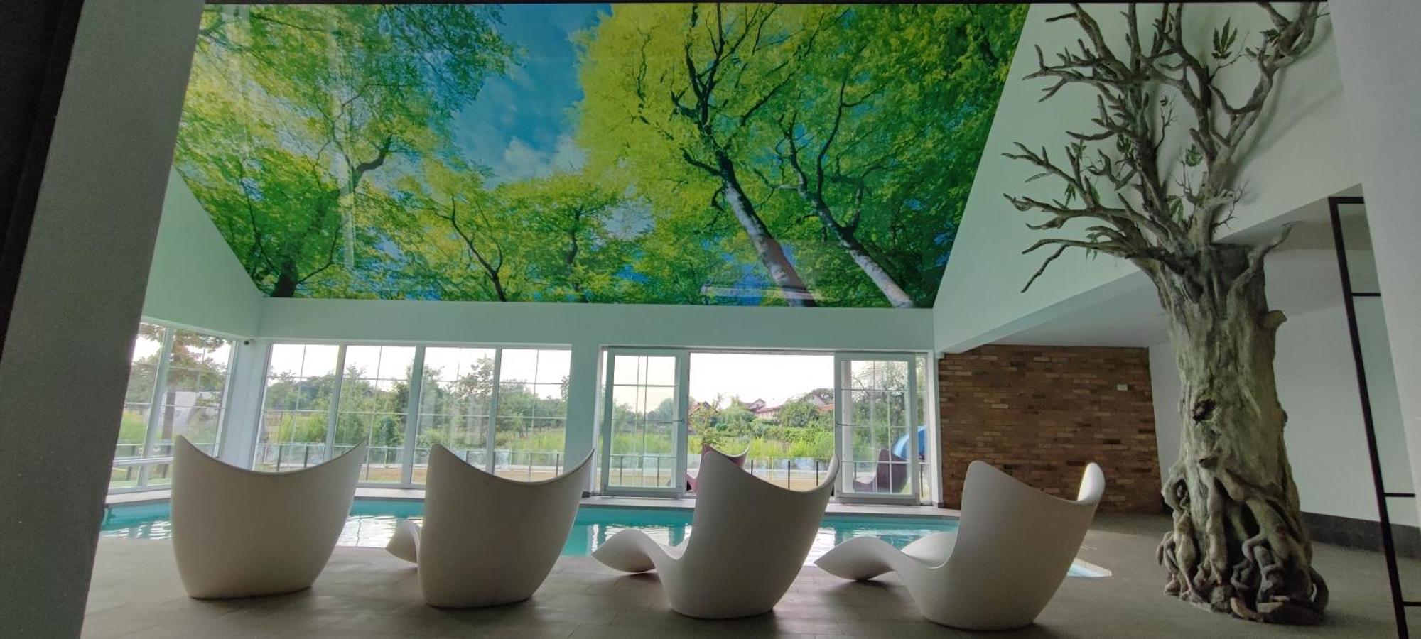 Pensiunea Casa Moga Bucium  Ngoại thất bức ảnh