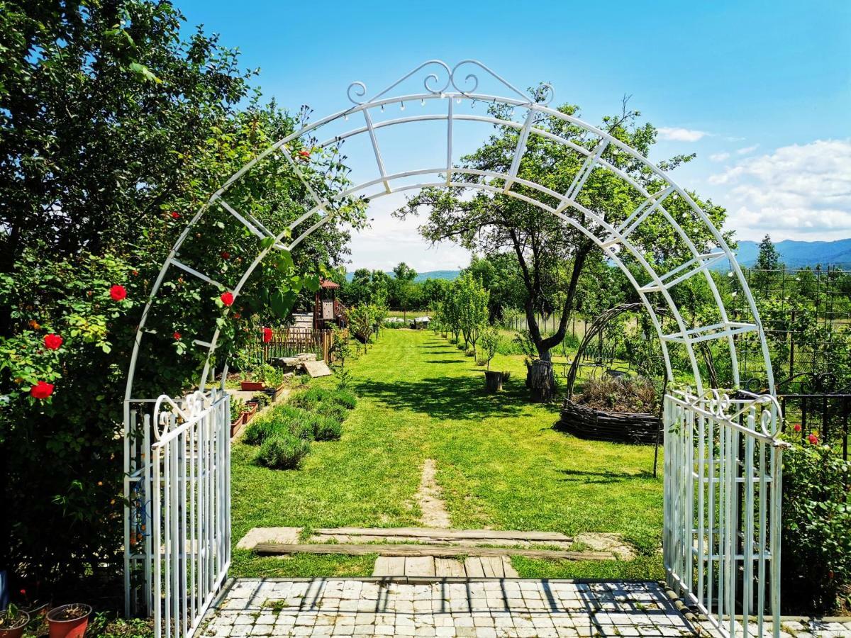 Pensiunea Casa Moga Bucium  Ngoại thất bức ảnh